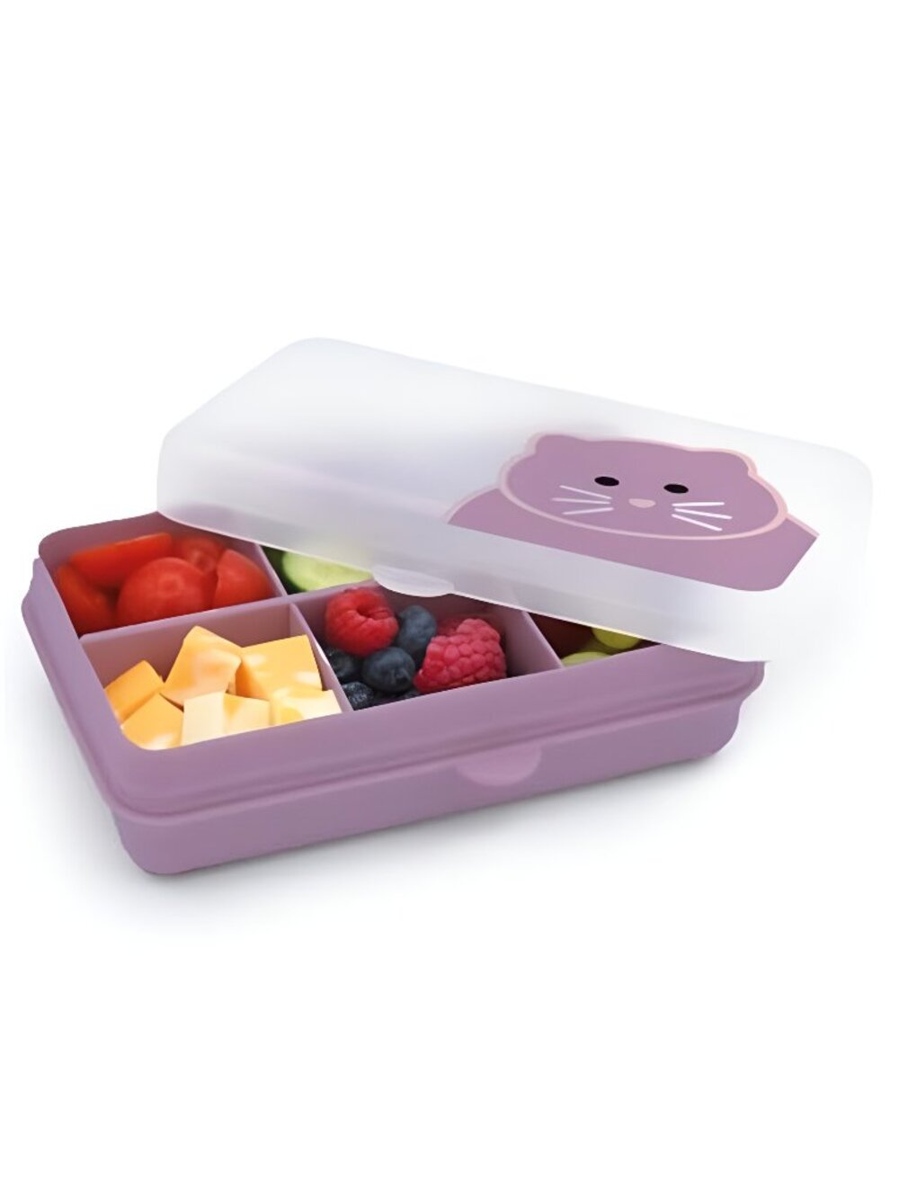 Snackle Box | 6-Compartment Divided Snack Container, BPA-Free Food